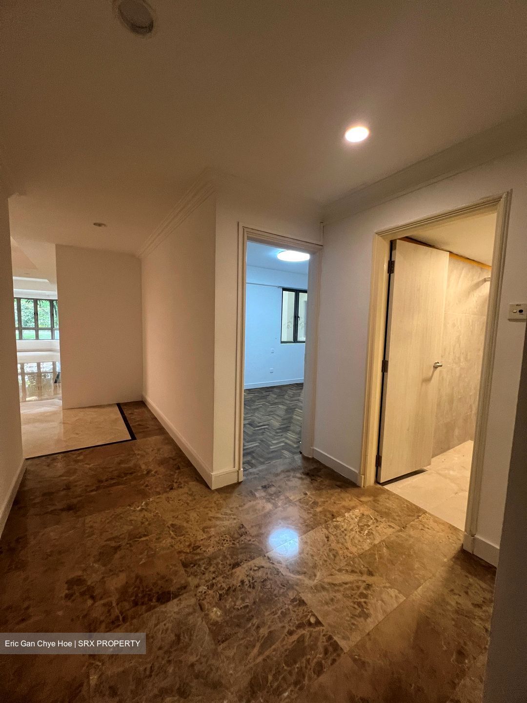 Cavenagh Lodge (D9), Apartment #601545181